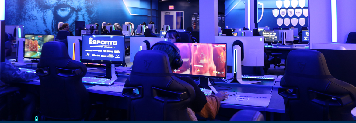 gamers